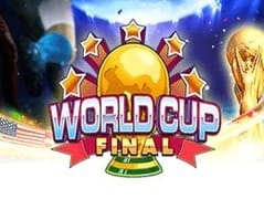 World Cup Final game screenshot
